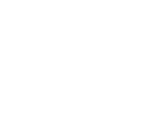 Deacon's New South logo.